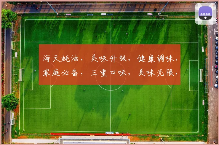 海天蚝油，美味升级，健康调味，家庭必备，三重口味，美味无限，尽享美味佳肴