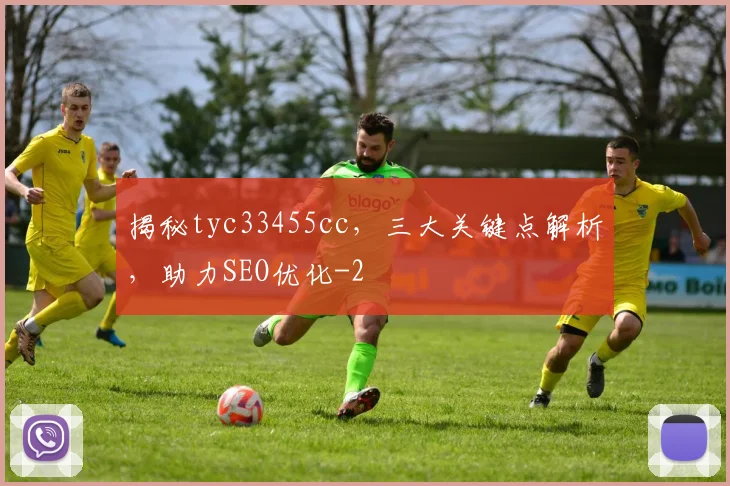 揭秘tyc33455cc，三大关键点解析，助力SEO优化