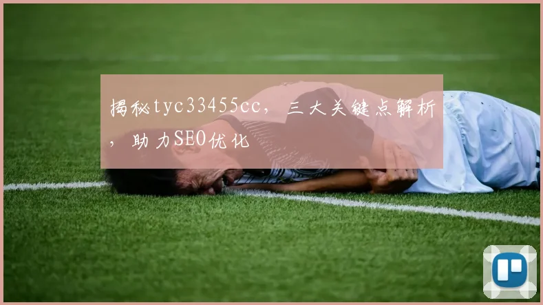 揭秘tyc33455cc，三大关键点解析，助力SEO优化