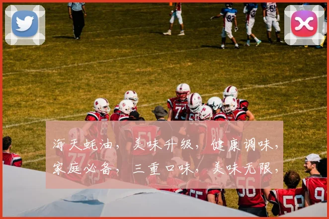 海天蚝油,美味升级,健康调味,家庭必备,三重口味,美味无限,尽享美味佳肴